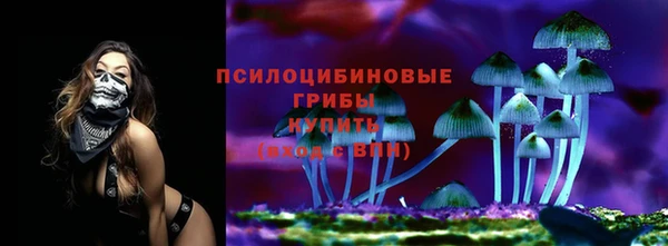 mdma Гусев
