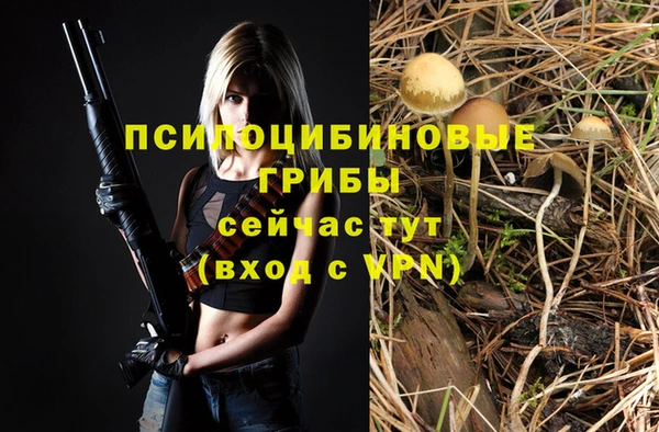 синтетический гашиш Гусь-Хрустальный